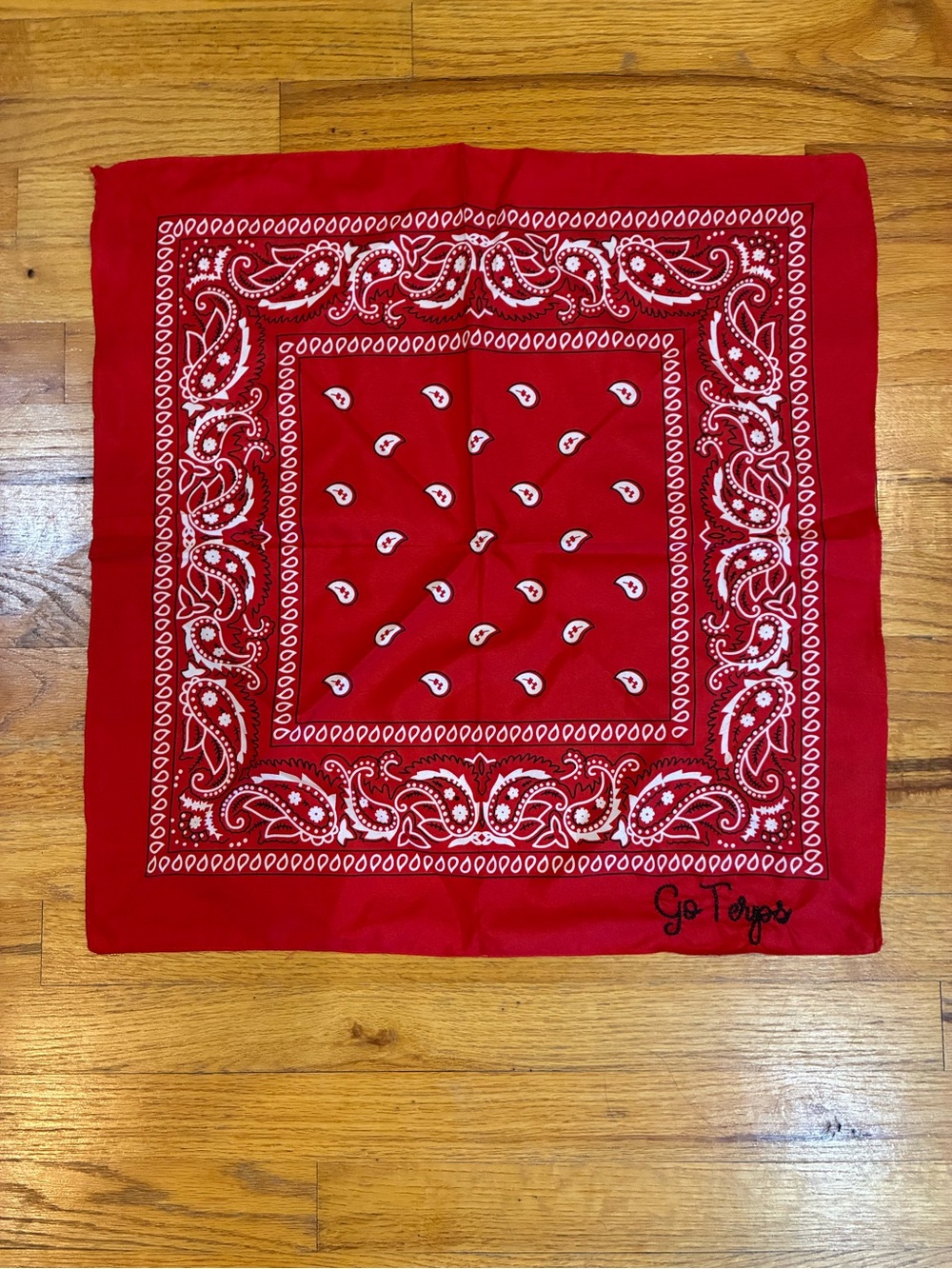 University of Maryland Red Paisley Bandana